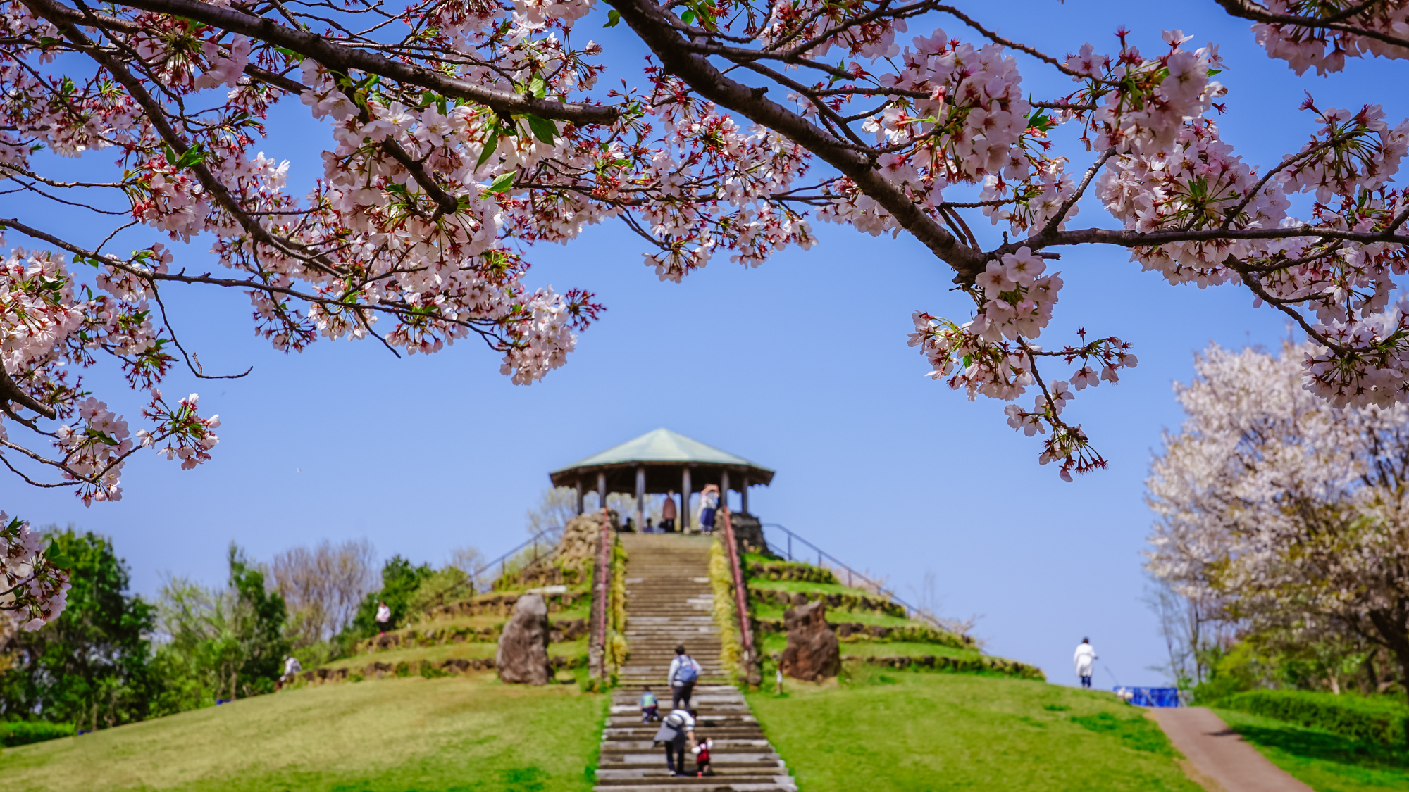 花と緑いっぱいの公園に行こう！春の横浜日帰り旅【春】